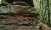 Trail Walking Wissembourg - Gr5J1 - Photo 7