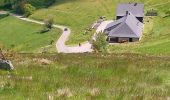 Excursión Senderismo Luttenbach-près-Munster - Autour du Petit Ballon et ses fermes auberges - Photo 18