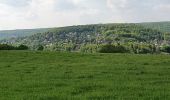 Randonnée Marche Esneux - Autour d'Avionpuits - Photo 19