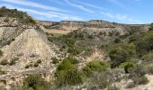 Trail Horseback riding Arguedas - Bardenas jour 7 - Photo 9