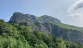Randonnée Marche Cléry - Chalet de la balme col de la fougère  - Photo 6
