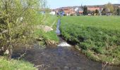 Excursión A pie Steinau an der Straße - Steinau a. d. Straße, Wanderweg 8 - Photo 6