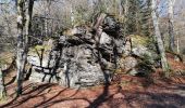 Trail Walking Saint-Hubert - MIRWART ... mon beau miroir ! - Photo 11