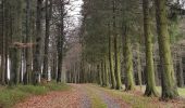 Trail Walking Vielsalm - Baraque Fraiture  - Photo 2