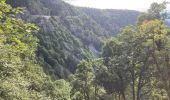 Trail Walking Stosswihr - Marche 10km 04-08-22 - Photo 6