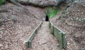 Trail Walking Lepuix - Giromagny - sentier des mines  - Photo 4