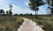Trail Walking Kalmthout - Heide 24,2 km - Photo 2