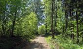 Trail On foot Hiltpoltstein - Rundweg Thuisbrunn 3 Zinnen - Photo 5