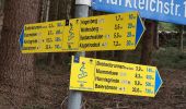 Randonnée A pied Sasbachwalden - Hinterer Wasen - Breitenbrunnen - bequemer Weg - Photo 9