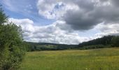 Tour Wandern Érezée - Erezee rode ruit mooi  - Photo 18