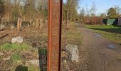 Tocht Stappen Raismes - terril du lavoir rousseau - Photo 1