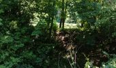 Percorso Marcia Huy - Les Vallons de la Solières   - Photo 3