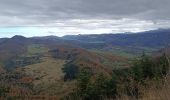 Tocht Stappen La Chapelle-en-Vercors - Serre Plumé  - Photo 20