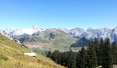 Trail Walking Le Grand-Bornand - AIGUILLE VERTE boucle - Photo 4