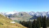 Tour Wandern Le Grand-Bornand - AIGUILLE VERTE boucle - Photo 4