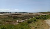 Randonnée Marche Trébeurden - PLEUMEUR-BODOU (l'île Grande) - Photo 11