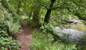 Trail Walking Monschau - Tour de Monschau 20Km - Photo 10