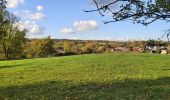 Tocht Noords wandelen Chaumont-Gistoux - dion grez pigeon - Photo 4