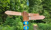Trail Walking Consdorf - 2023-06-13_20h43m48_Sentier_local_-_C2 - Photo 8