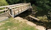 Trail Walking Waimes - Barrage de Robert Ville et Château Steinhart - Photo 17