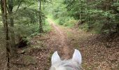 Trail Horseback riding Saint-Quirin - Camping st quirin belles roches abri Klein haut du bon Dieu halmoze lamperstein  - Photo 9