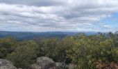 Tour Wandern Soudorgues - Vallée Salindrenque - Photo 14