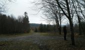 Trail Walking La Roche-en-Ardenne - La Roche n 8 - Photo 2