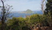 Tocht Stappen Terre-de-Bas - terre de bas rouge et bleue - Photo 10