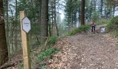 Randonnée Marche Bouillon - Noordelijke bossen Bouillon 15 km - Photo 8