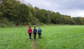 Excursión Senderismo Durbuy - Autour de Tohogne (Durbuy) - Photo 1