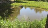 Tocht Noords wandelen Sainte-Anne - Liard saint Robert route et sous bois - Photo 1