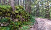 Trail Walking Les Rousses - lac des rousses . roche blanche . fort du risoux - Photo 11