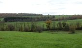 Tocht Te voet Froidchapelle - Balade au Lac de l'Eau d'Heure - Photo 2