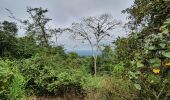 Randonnée Marche Guayaquil - Cerro Azul (Antenas) de ESPOL - Photo 20