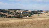 Randonnée Marche Messon - Bois Lorgne - Photo 2