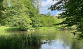 Trail Walking Chiny - Chiny le long de la Semois - Photo 10