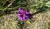 Tour Wandern Caussols - Caussol le 15/05 - Photo 13