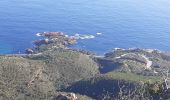 Trail Walking Saint-Raphaël - Belle Barbe Pic d'Aurelle Pic du Cap Roux Grotte St Honorat - Photo 6