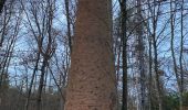 Tocht Stappen Fontainebleau - Sentier Denecourt n2 - Photo 2