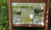 Tour Wandern Walcourt - Thy-le-Château - Photo 2