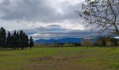 Excursión Senderismo Argelès-sur-Mer - mas larrieu - argeles / l hiver - Photo 4