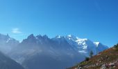 Tocht Stappen Chamonix-Mont-Blanc - Les aiguilles Rouges Chamonix Argentière  - Photo 3