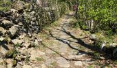 Randonnée Marche Fabras - Fabras Jaujac les orgues basaltiques  - Photo 17