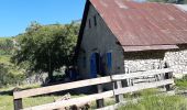 Randonnée Marche Seyne - SEYNES LES ALPES . Grand puy , montagne de la Blache , cabane du Mulet o l s - Photo 5