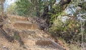 Tour Wandern Banyuls-dels-Aspres - banyuls des aspres - Photo 2