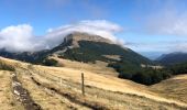 Tocht Stappen Bouvante - Tour du Plateau d’Ambel - Photo 5