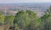 Trail Walking Montouliers - Montouliers, ronde des collines  - Photo 3