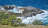 Randonnée Marche Anse-Bertrand - Trou du souffleur  - Photo 1