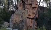 Excursión Senderismo Bagnols-en-Forêt - BAGNOLS EN FORÊT - LES GORGES DU BLAVET - Photo 14