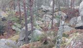 Tour Wandern Fontainebleau - Belle Croix  - Photo 9